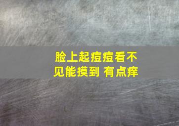 脸上起痘痘看不见能摸到 有点痒